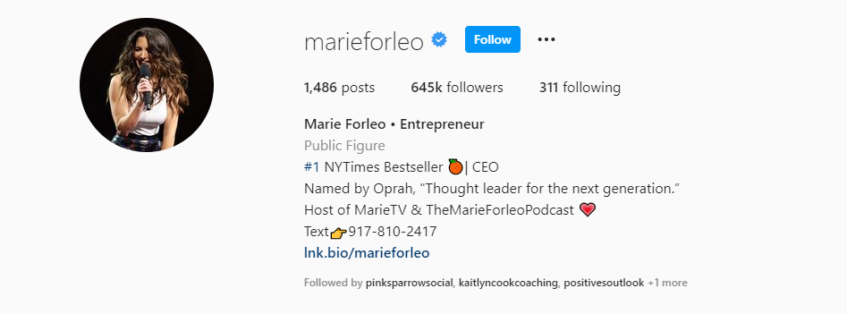 Frases para bio do Instagram MarieTV