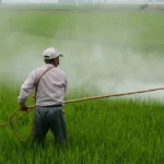 herbicide