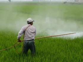 herbicide